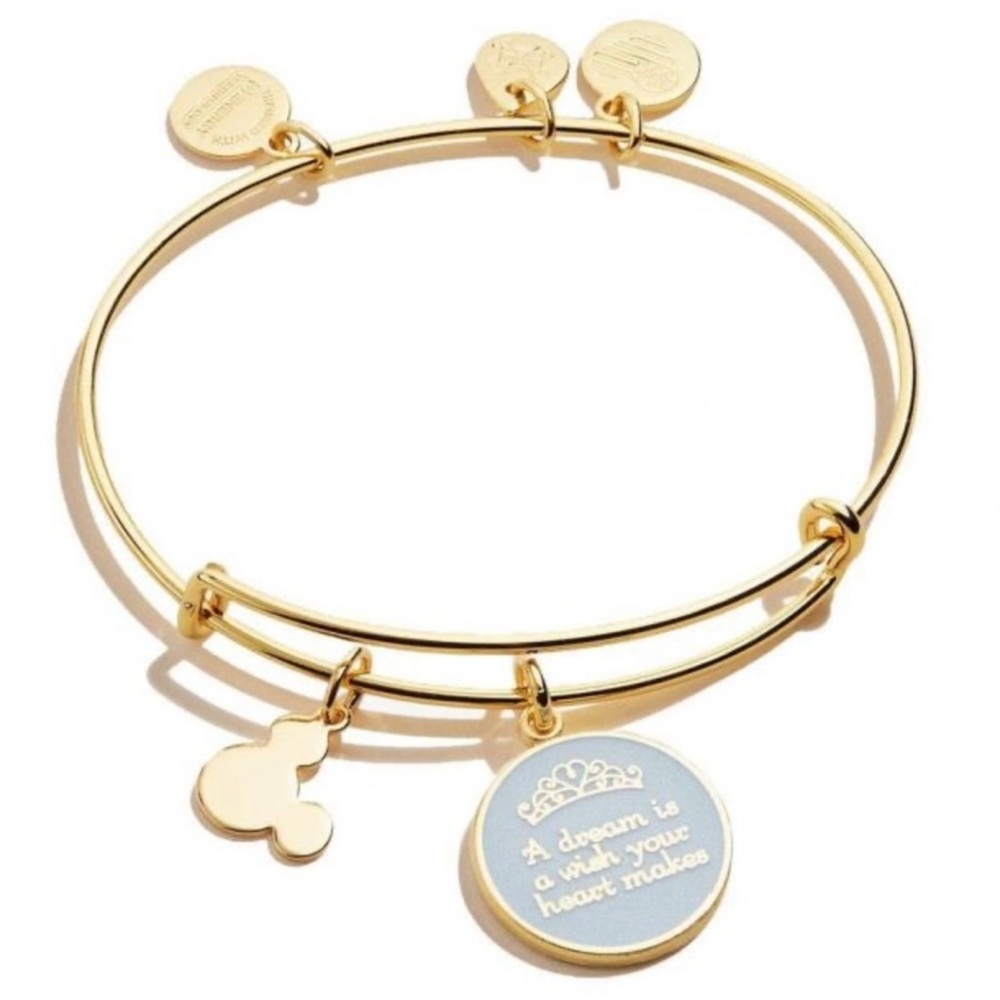 Alex and Ani Disney Bracelet in Gold